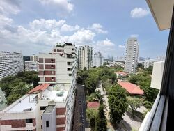 Pandan Valley (D21), Condominium #596630431